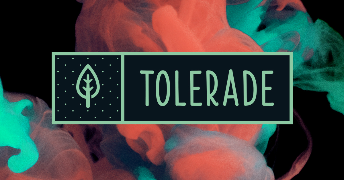 Bild über die Neuigkeit DAVE auf der Tolerade 2019 