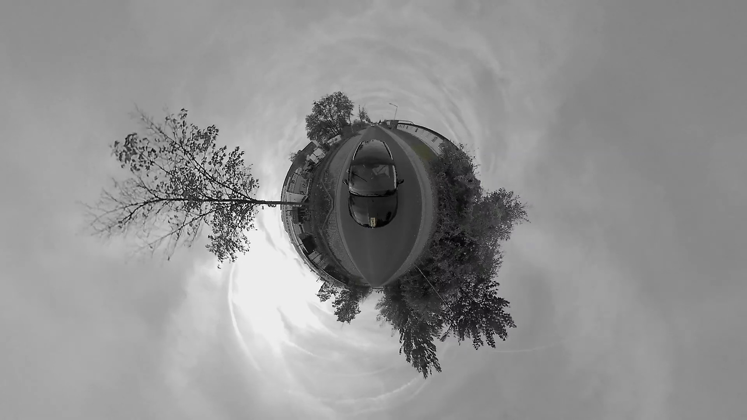 Bild über die Neuigkeit DAVE Road Trip 