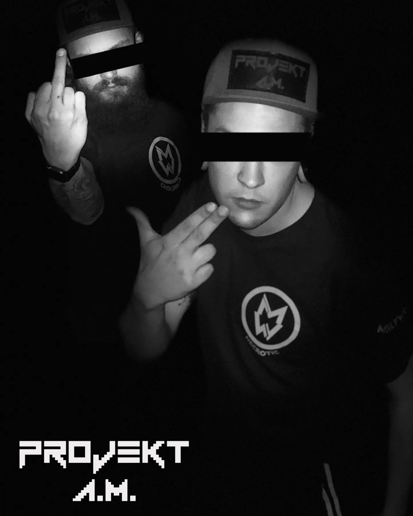 Artistfoto von Projekt _Aufs Maul_